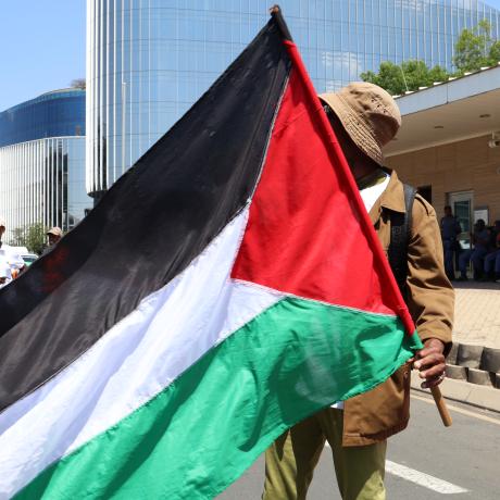 Man holds Palestine flag in solidarity